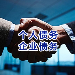 卢氏追债公司