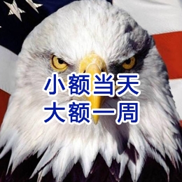 卢氏要账公司
